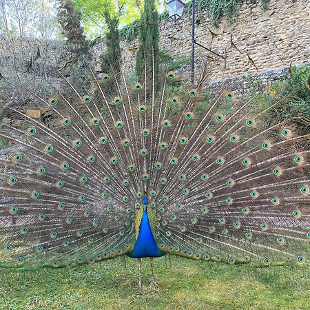 Domaine De Pipangaille Bed & Breakfast Andancette Dış mekan fotoğraf