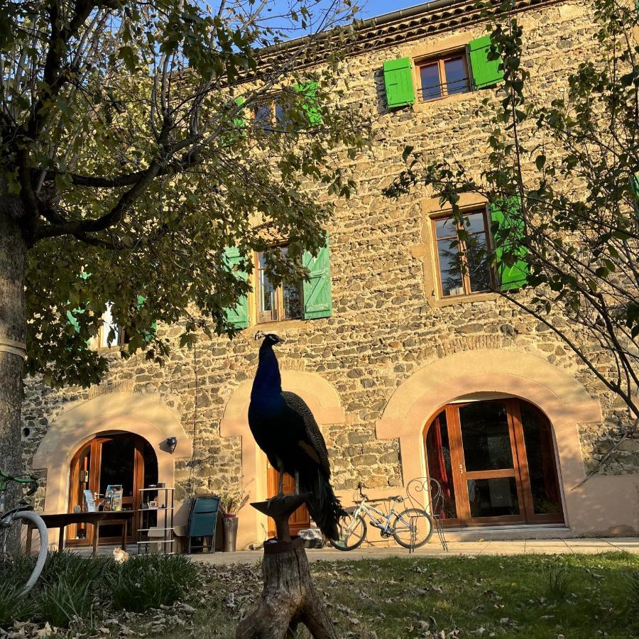 Domaine De Pipangaille Bed & Breakfast Andancette Dış mekan fotoğraf
