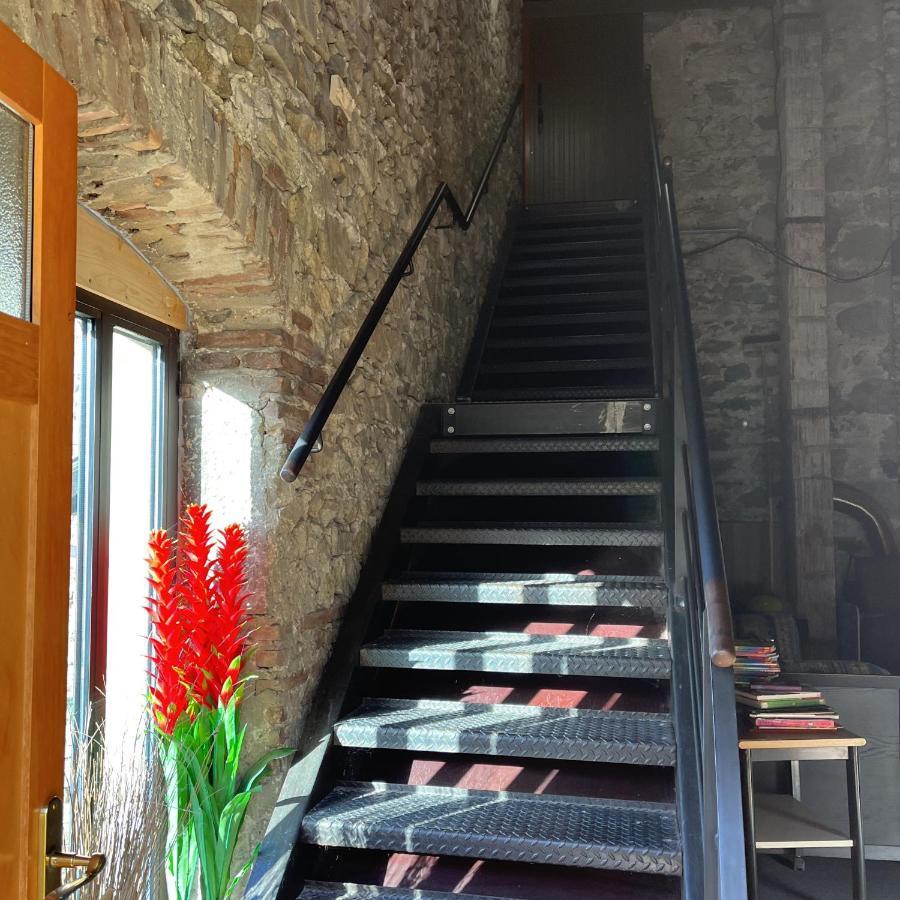 Domaine De Pipangaille Bed & Breakfast Andancette Dış mekan fotoğraf