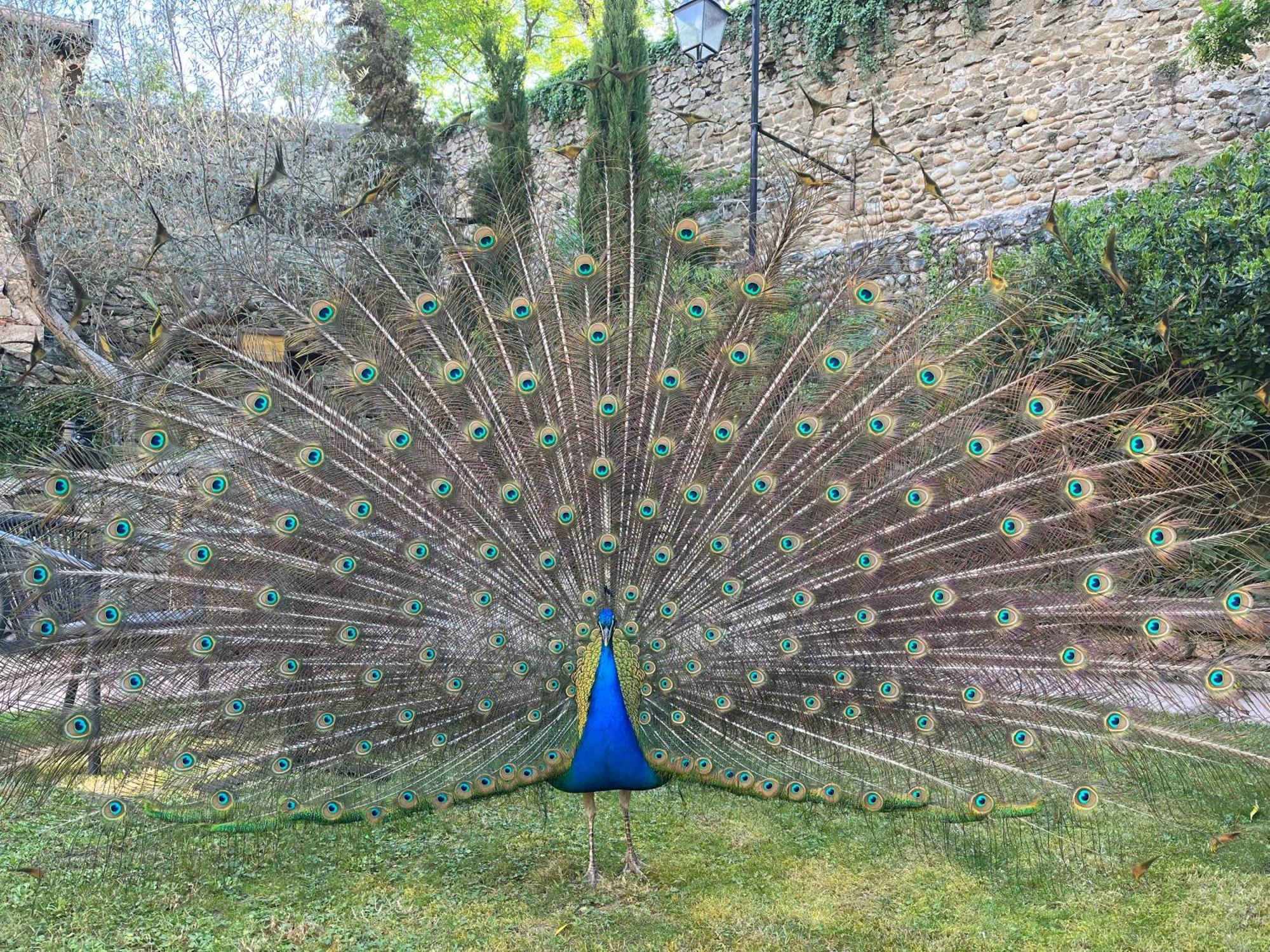 Domaine De Pipangaille Bed & Breakfast Andancette Dış mekan fotoğraf